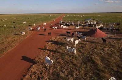 Fazenda à venda no Centro, Confresa 