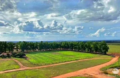 Fazenda à venda no Centro, Brasnorte 