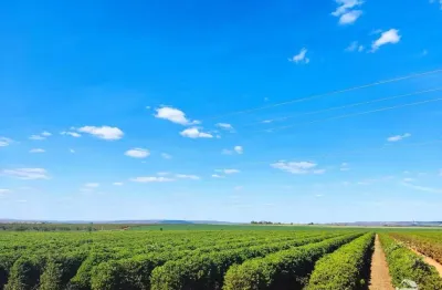 Fazenda à venda no Major Porto, Patos de Minas 