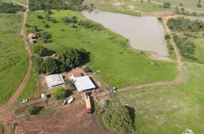 Fazenda maravilhosa em tocantins - ótima oportunidade de investimento!