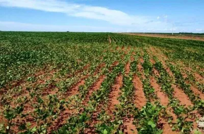 Fazenda à venda no Centro, Paranatinga 