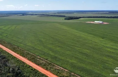 Fazenda à venda no Centro, Marcelândia 