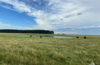 Fazenda à venda no Prado, Santana do Livramento 