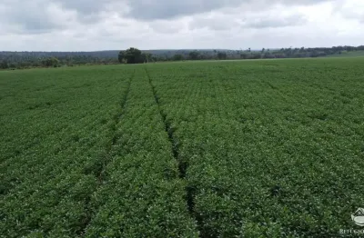 Fazenda à venda no Setor Central, Araguaína 