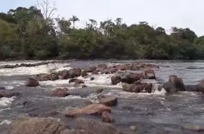 Fazenda incrível com mata preservada em novo aripuanã/am
