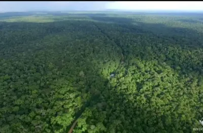 Fazenda à venda no Centro, Pauini 