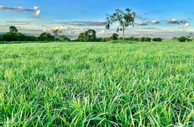Fazenda à venda no Centro, Campina Verde 