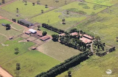 Fazenda à venda no Centro, Goiás 
