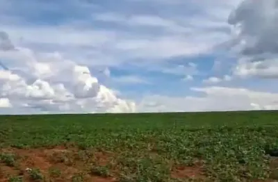 Fazenda à venda no Setor Central, Morrinhos 