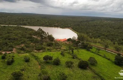 Fazenda à venda no Centro, Bonfinópolis de Minas 