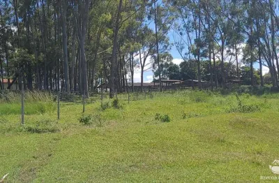 Fazenda à venda no Centro, Varjão de Minas 