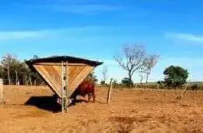 Fazenda  para pecuária imperdível em são valério da natividade/to