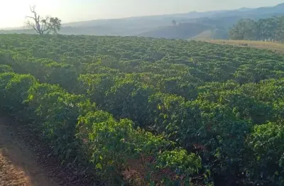 Fazenda à venda no Centro, Monte Belo 