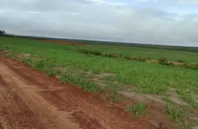 Fazenda excelente com ótima estrutura localizada em centenário/to