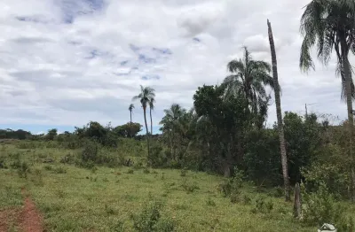 Fazenda à venda no Centro, Figueirão 