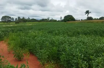 Sítio em frutal/mg - excelente oportunidade de investimento!