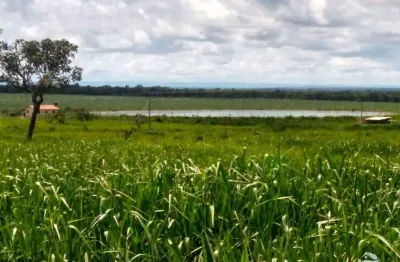 Fazenda à venda no Centro, Paracatu 