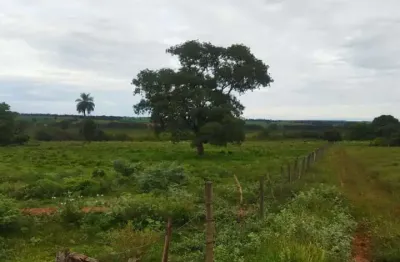 Fazenda à venda no Centro, Fronteira 