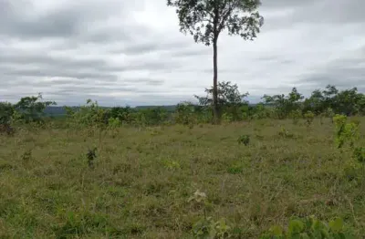 Fazenda incrível em camapuã/ms - excelente oportunidade de investimento!