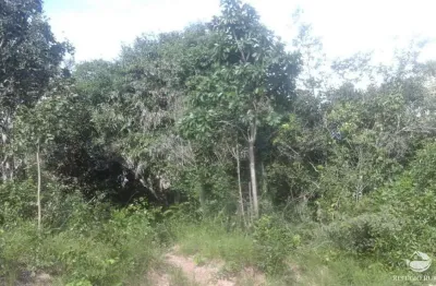 Fazenda à venda no Setor Central, Lizarda 