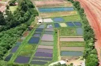 Fazenda à venda no Setor Central, Itapuranga 