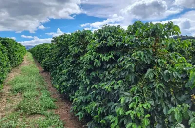 Fazenda à venda no Centro, Vargem Bonita 