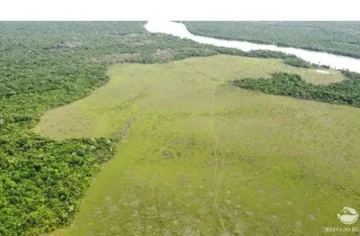Fazenda à venda no Centro, Cametá 