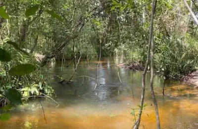 Fazenda à venda no Centro, Grajaú 