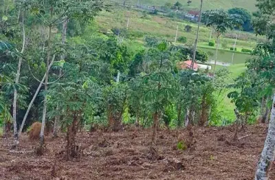 Terreno à venda no Centro, Monteiro Lobato 