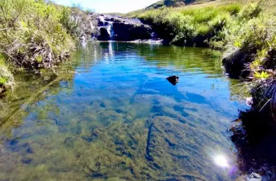 Fazenda à venda no Centro, Areias 