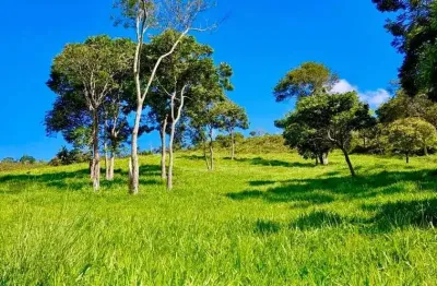 Fazenda à venda no Centro, Silveiras 