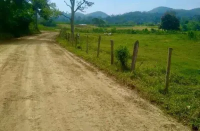 Fazenda à venda no Centro, Arapeí 
