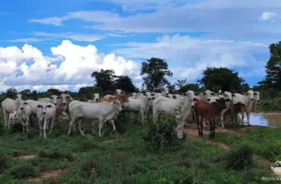 Fazenda à venda no Setor Central, Alvorada 