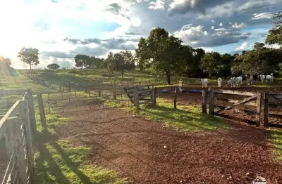 Fazenda à venda no Setor Central, Sandolândia 