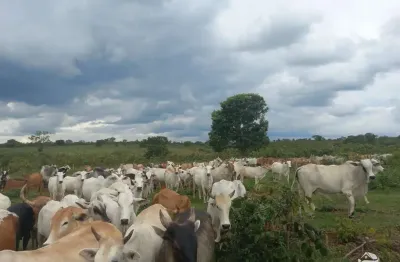 Fazenda à venda no Centro, Figueirão 