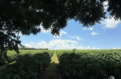 Fazenda à venda no Centro, Piumhi 