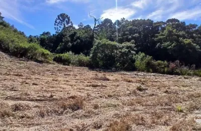 Chácara / sítio com 1 quarto à venda no Centro, Gonçalves 