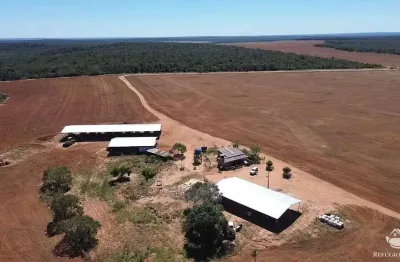 Fazenda à venda no Centro, Paranatinga 