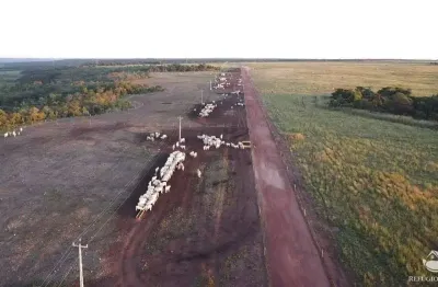 Fazenda à venda no Centro, Balsas 
