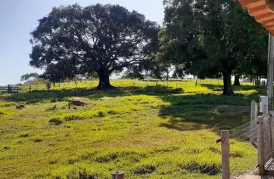 Fazenda à venda no Centro, Tesouro 