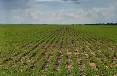 Fazenda à venda no Setor Comercial, Sinop 