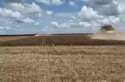 Fazenda à venda no Centro, Cristalina 
