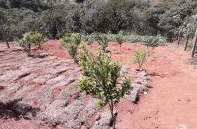 Terreno à venda no Centro, Monteiro Lobato 
