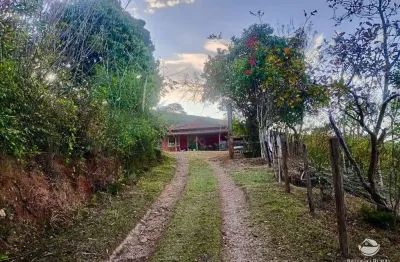 Fazenda à venda no Centro, Cunha 