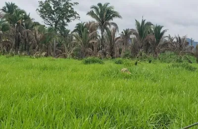 Fazenda à venda no Setor Central, Recursolândia 