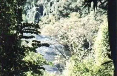 Fazenda à venda no Centro, Iporanga 