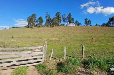 Terreno à venda no Centro, Gonçalves 