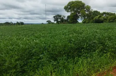 Chácara / sítio com 1 quarto à venda no Centro, Frutal 