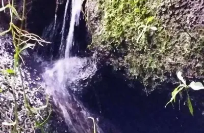 Sítio região bem valorizada em sfx mata preservada  e vista lindíssima