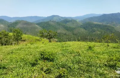 Sítio com mata nativa entre são josé dos campos e são francisco xavier/sp